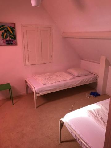Beatrixstraat 25 Villa Domburg Dış mekan fotoğraf